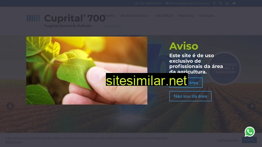 cuprital.com.br alternative sites