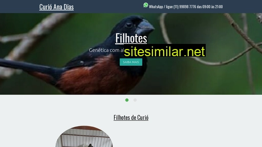 curioanadias.com.br alternative sites