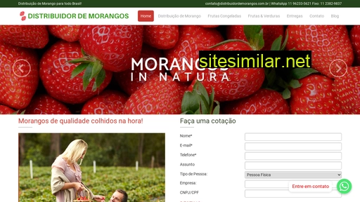 distribuidordemorangos.com.br alternative sites