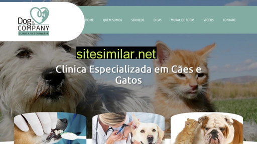 dogcompany.com.br alternative sites