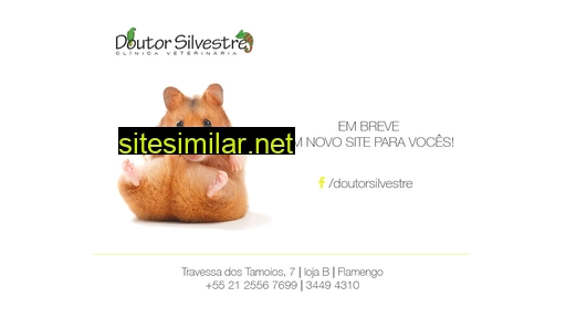 doutorsilvestre.com.br alternative sites