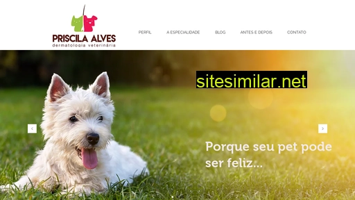 drapriscilaalves.com.br alternative sites