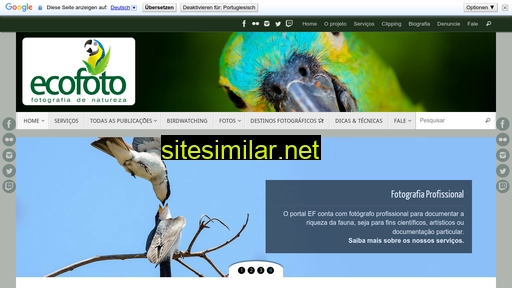 ecofoto.com.br alternative sites