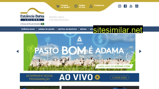 estanciabahia.com.br alternative sites