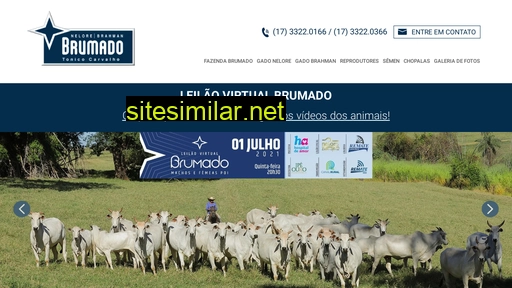 fazendabrumado.com.br alternative sites