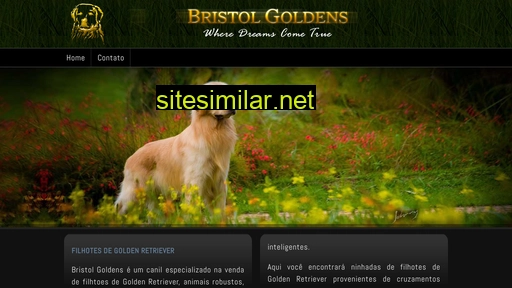 filhotedegolden.com.br alternative sites