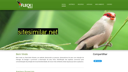 fleckbirdsrolante.com.br alternative sites