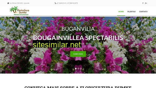 floriculturadumke.com.br alternative sites