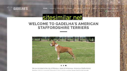 gadelhasamstaffs.com.br alternative sites