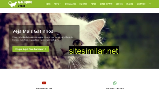 gatinhosfofos.com.br alternative sites