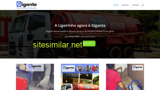 gigantedesentupidora.com.br alternative sites