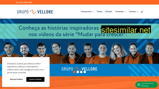 grupovellore.com.br alternative sites