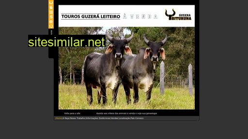 guzeraibituruna.com.br alternative sites