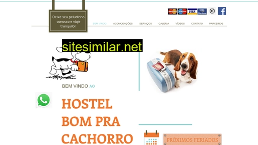 hostelbompracachorro.com.br alternative sites