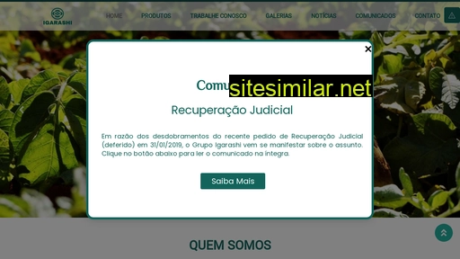 igarashi.com.br alternative sites