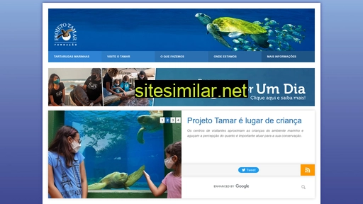 informativotamar.org.br alternative sites