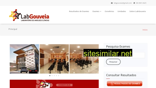 labgouveia.com.br alternative sites