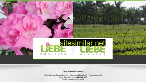 liebe.com.br alternative sites