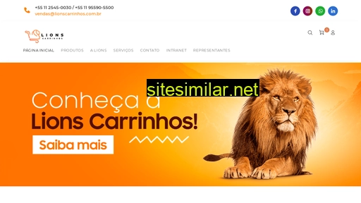 lionscarrinhos.com.br alternative sites