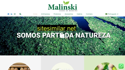malinski.com.br alternative sites