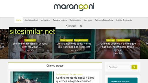 marangoni.com.br alternative sites