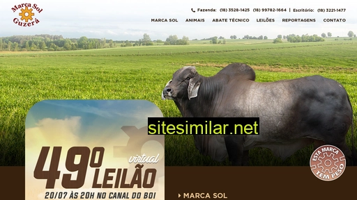 marcasol.com.br alternative sites