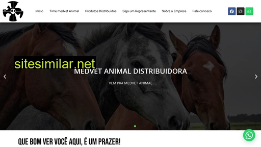 medvetanimal.com.br alternative sites