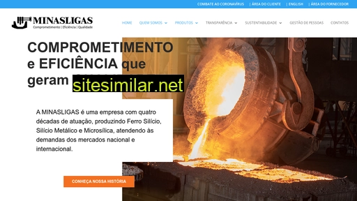 minasligas.com.br alternative sites