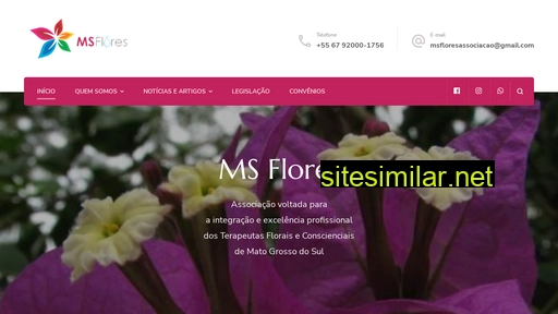 msflores.com.br alternative sites