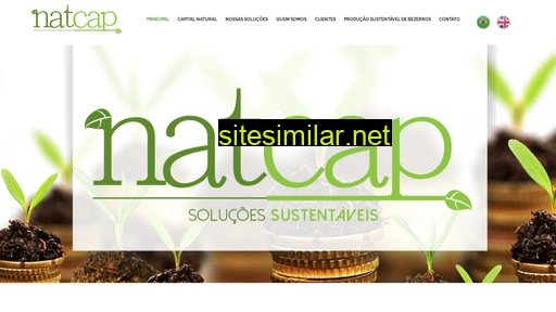 natcap.com.br alternative sites