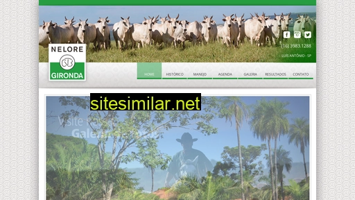 neloregironda.com.br alternative sites