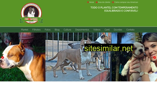 newk.com.br alternative sites