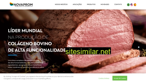 novaprom.com.br alternative sites