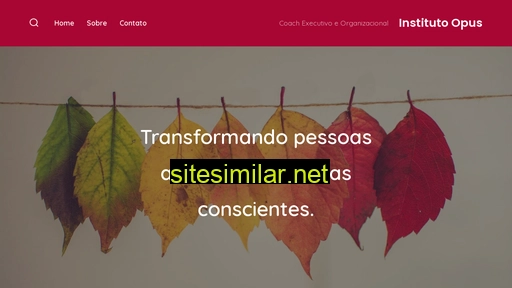 opusinstituto.com.br alternative sites