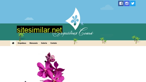 orquideasceara.com.br alternative sites