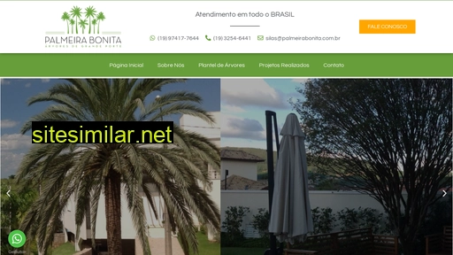 palmeirabonita.com.br alternative sites