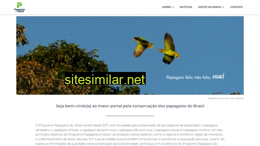 papagaiosdobrasil.com.br alternative sites