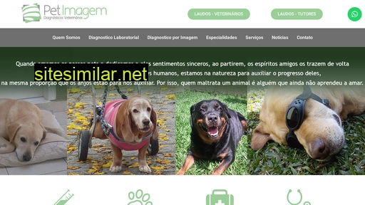 petimagem.com.br alternative sites