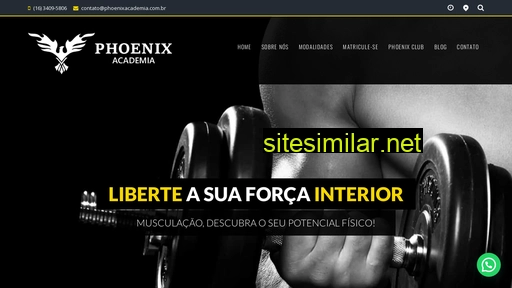 phoenixacademia.com.br alternative sites
