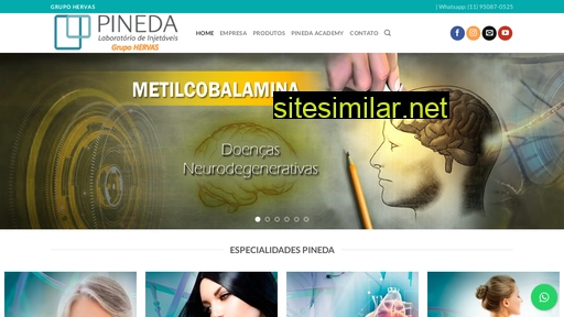 pineda.com.br alternative sites