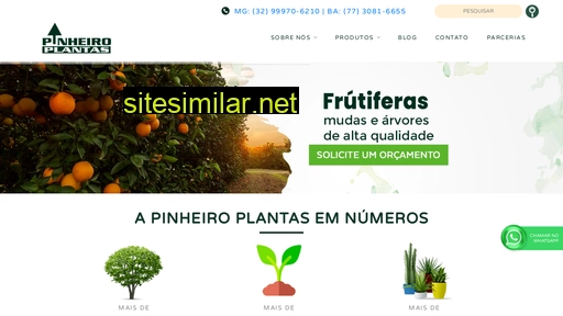 pinheiroplantas.com.br alternative sites