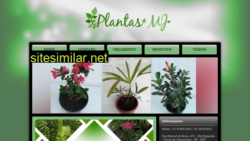 plantasmj.com.br alternative sites
