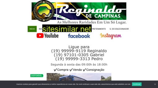 reginaldodecampinas.com.br alternative sites