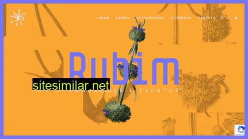 rubim.art.br alternative sites