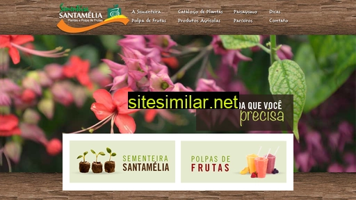 santamelia.com.br alternative sites