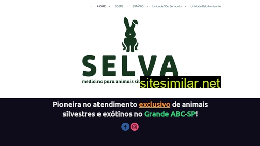 selvaveterinaria.com.br alternative sites