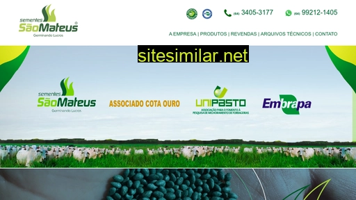 sementessaomateus.com.br alternative sites