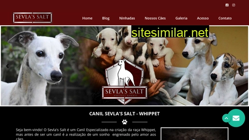 sevlassalt.com.br alternative sites