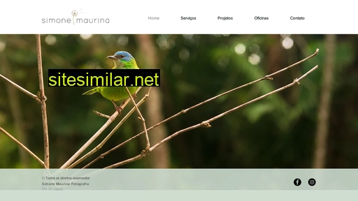 simonemaurina.com.br alternative sites