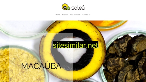 soleabrasil.com.br alternative sites